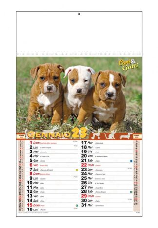 Calendario illustrato cani e gatti 2023 D8490