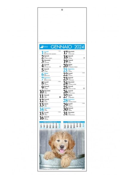 Calendario cani e gatti 2024 C4790