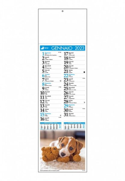 Calendario cani e gatti C4790