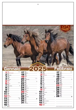 Calendario cavalli 2025 D3090