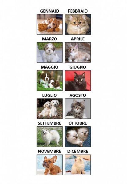 calendario silhouette illustrato cani e gatti C4790