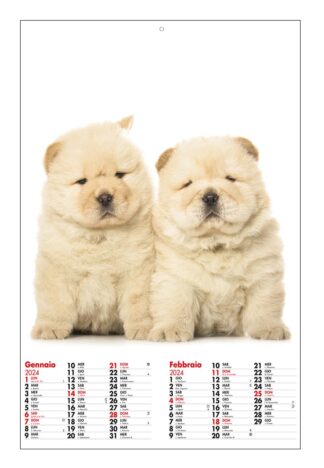 Calendario illustrato cuccioli cani e gatti 2024
