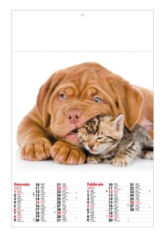 calendario illustrato cuccioli cani e gatti
