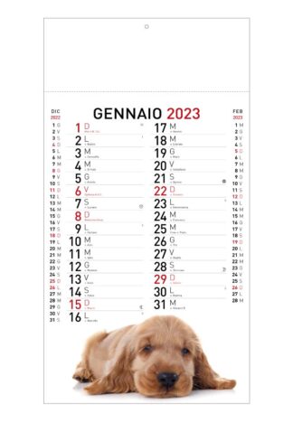 Calendario illustrato Cani e Gatti