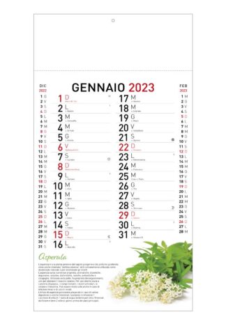 Calendario illustrato Piante Officinali