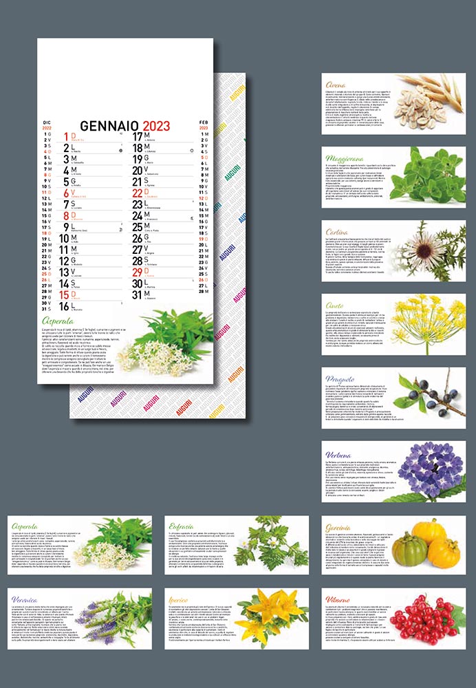 Calendario Piante Officinali Erboristeria Erbario